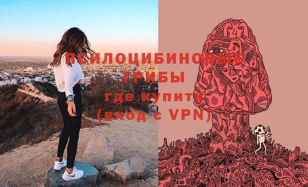 трава Алзамай
